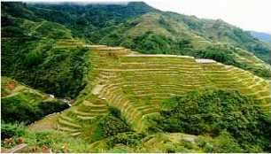 Banaue Rice Terraces